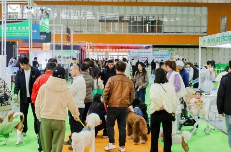 2025����������ﲩ���ᣨ��ɳչ������Щ����Ŀ��Ŀ���ֵ�ù�ע��