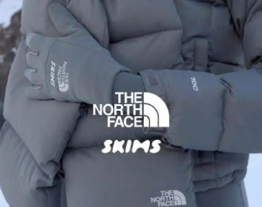 THE NORTH FACE  SKIMSٶЯƳȫϵ