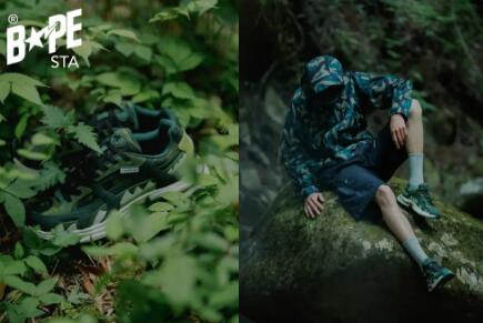 ηܾΡBAPE SHARK STAȫɫϵ