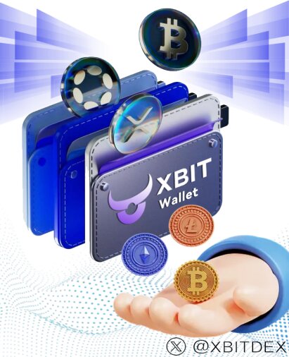 ҰǮĽ֮ѡΪWeb3֤ͨXBIT Walletĺļֵ