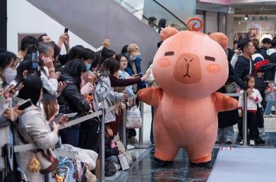 �����弦������AI�������ذ����࣬��ɭ�����ԡ�IP+AI���ں�������ҵ�·���