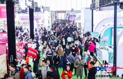 2026��13�챱�����ʳ�����Ʒչ�����չЧ����Σ�Ӱ������Σ�